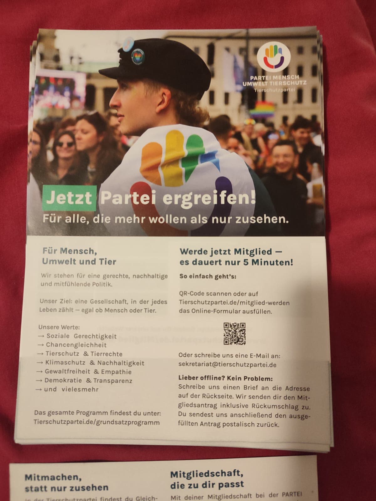 Instagram Tierschutzpartei 9